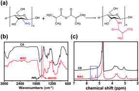 Graphical abstract: Synthesis, characterization and osteogenesis of phosphorylated methacrylamide chitosan hydrogels