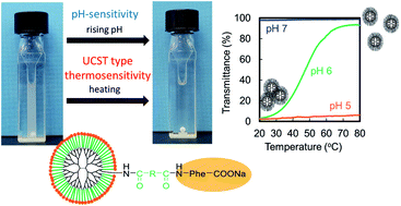 Graphical abstract: Dual pH-sensitive and UCST-type thermosensitive dendrimers: phenylalanine-modified polyamidoamine dendrimers with carboxyl termini