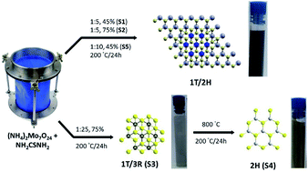 Graphical abstract: A comparative study on the photocatalytic degradation of organic dyes using hybridized 1T/2H, 1T/3R and 2H MoS2 nano-sheets