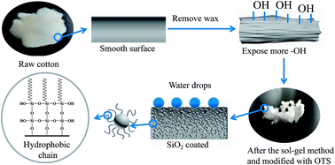 Graphical abstract: Superhydrophobic/superoleophilic cotton-oil absorbent: preparation and its application in oil/water separation