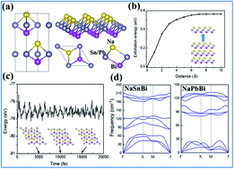 Graphical abstract: Discovery of asymmetric NaXBi (X= Sn /Pb) monolayers with non-trivial topological properties