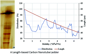 Graphical abstract: A high precision length-based carbon nanotube ladder
