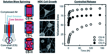 Graphical abstract: Influence of shell compositions of solution blown PVP/PCL core–shell fibers on drug release and cell growth