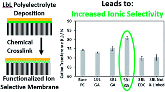 Graphical abstract: Polyelectrolyte layer-by-layer deposition on nanoporous supports for ion selective membranes