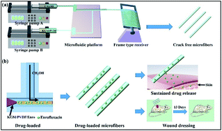 Graphical abstract: Robust microfluidic construction of hybrid microfibers based on konjac glucomannan and their drug release performance