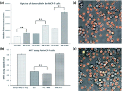 Graphical abstract: Microwave-assisted delivery of an anticancer drug to cancer cells