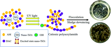 Graphical abstract: Synthesis of a cationic polyacrylamide by a photocatalytic surface-initiated method and evaluation of its flocculation and dewatering performance: nano-TiO2 as a photo initiator