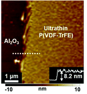 Graphical abstract: Temperature dependence of piezo- and ferroelectricity in ultrathin P(VDF–TrFE) films