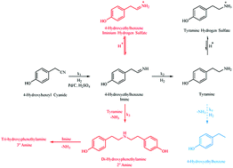 Graphical abstract: The production of tyramine via the selective hydrogenation of 4-hydroxybenzyl cyanide over a carbon-supported palladium catalyst