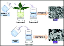 Graphical abstract: Biofabricated BiOI with enhanced photocatalytic activity under visible light irradiation