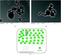 Graphical abstract: Lubrication and plasticization behavior of large-size micro-spherical structured SiO2 for natural rubber