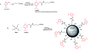 Graphical abstract: Hybrid-silica nanoparticles as a delivery system of the natural biocide carvacrol