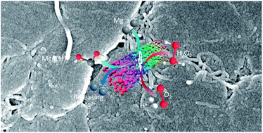 Graphical abstract: Efficient in situ generation of H2O2 by novel magnesium–carbon nanotube composites