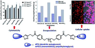 Graphical abstract: Synthesis of non-ionic bolaamphiphiles and study of their self-assembly and transport behaviour for drug delivery applications