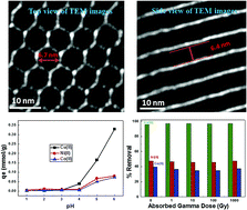 Graphical abstract: Decontamination of radionuclides by functionalized mesoporous silica under gamma irradiation