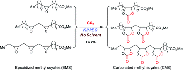 Graphical abstract: Potassium iodide–polyethylene glycol catalyzed cycloaddition reaction of epoxidized soybean oil fatty acid methyl esters with CO2