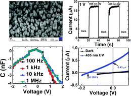 Graphical abstract: Negative-capacitance and bulk photovoltaic phenomena in gallium nitride nanorods network