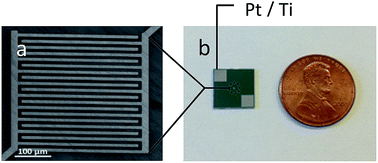 Graphical abstract: Imparting sensitivity and selectivity to a gold nanoparticle chemiresistor through thiol monolayer functionalization for sensing acetone