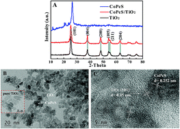 Graphical abstract: Versatility of CoPcS in CoPcS/TiO2 for MB degradation: photosensitization, charge separation and oxygen activation