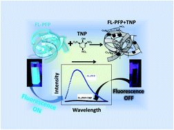 Graphical abstract: A porous β-cyclodextrin-based terpolymer fluorescence sensor for in situ trinitrophenol detection