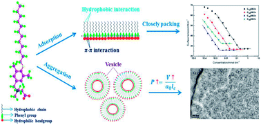 Graphical abstract: Synthesis, surface activities, and aggregation behavior of phenyl-containing carboxybetaine surfactants