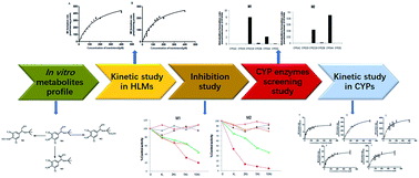 Graphical abstract: Identification of the cytochrome P450 enzymes involved in the oxidative metabolism of trantinterol using ultra high-performance liquid chromatography coupled with tandem mass spectrometry