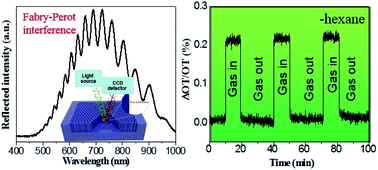 Graphical abstract: Mesoporous anodic α-Fe2O3 interferometer for organic vapor sensing application