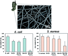Graphical abstract: Antibacterial properties of electrospun Ti3C2Tz (MXene)/chitosan nanofibers
