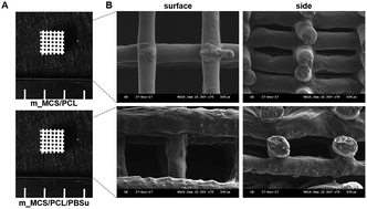 Graphical abstract: Characterization and osteogenic evaluation of mesoporous magnesium–calcium silicate/polycaprolactone/polybutylene succinate composite scaffolds fabricated by rapid prototyping