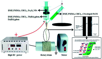 Graphical abstract: Using special Janus nanobelt as constitutional unit to construct anisotropic conductive array membrane for concurrently affording color-tunable luminescence and superparamagnetism