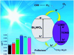 Graphical abstract: Visible light activity of Bi2WO6@TCNQ with core–shell structure in phenol degradation