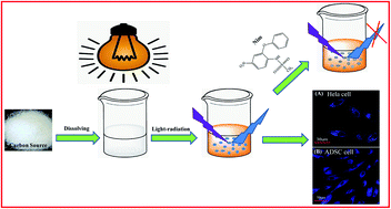 Graphical abstract: A simple preparation method of carbon dots by weak power bathroom lamp irradiation and their application for nimesulide detection and bioimaging