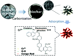 Graphical abstract: Superb adsorption capacity of biochar derived from leather shavings for Congo red