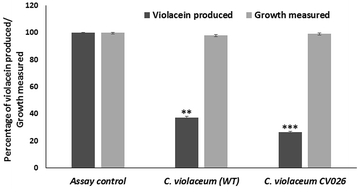 Graphical abstract: Inhibition of biofilm formation and quorum sensing mediated phenotypes by berberine in Pseudomonas aeruginosa and Salmonella typhimurium