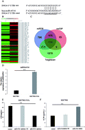 Graphical abstract: A microRNA-4516 inhibitor sensitizes chemo-resistant gastric cancer cells to chemotherapy by upregulating ING4