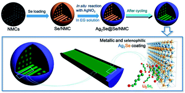 Graphical abstract: In situ reactive coating of metallic and selenophilic Ag2Se on Se/C cathode materials for high performance Li–Se batteries