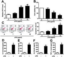 Graphical abstract: Retracted Article: PVT1 depletion protects cartilage ATDC5 cells against LPS-induced inflammatory injury by regulating the miR-24/ADAMTS5 axis