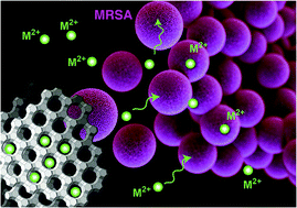 Graphical abstract: Superior ion release properties and antibacterial efficacy of nanostructured zeolites ion-exchanged with zinc, copper, and iron