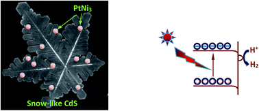 Graphical abstract: Pt–Nix alloy nanoparticles: a new strategy for cocatalyst design on a CdS surface for photo-catalytic hydrogen generation