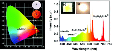 Graphical abstract: Novel high-efficiency Eu3+-activated Na2Gd2B2O7 red-emitting phosphors with high color purity