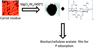 Graphical abstract: Film based on magnesium impregnated biochar/cellulose acetate for phosphorus adsorption from aqueous solution