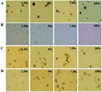 Graphical abstract: pH-responsive and porous vancomycin-loaded PLGA microspheres: evidence of controlled and sustained release for localized inflammation inhibition in vitro