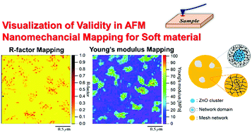 Graphical abstract: Necessity of two-dimensional visualization of validity in the nanomechanical mapping of atomic force microscopy for sulphur cross-linked rubber