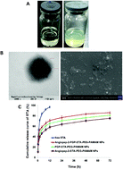 Graphical abstract: Neutrophil-mediated and low density lipoprotein receptor-mediated dual-targeting nanoformulation enhances brain accumulation of scutellarin and exerts neuroprotective effects against ischemic stroke