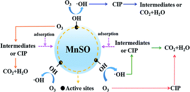 Graphical abstract: Heterogeneous catalytic ozonation of ciprofloxacin in aqueous solution using a manganese-modified silicate ore