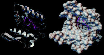 Graphical abstract: A novel fluorescent long-chain fatty acid-substituted dye: labeling and biodegrading of Microthrix parvicella