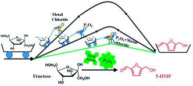 Graphical abstract: Phosphorus pentoxide/metal chloride mediated efficient and facile catalytic conversion of fructose into 5-hydroxymethylfurfural