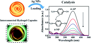 Graphical abstract: Bioinspired interconnected hydrogel capsules for enhanced catalysis