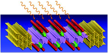 Graphical abstract: Tunable transport and optoelectronic properties of monolayer black phosphorus by grafting PdCl2 quantum dots