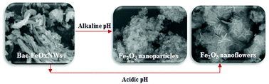 Graphical abstract: The hydrothermal processing of iron oxides from bacterial biofilm waste as new nanomaterials for broad applications